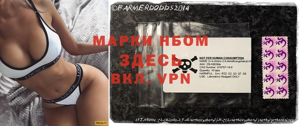 прущие грибы Алзамай